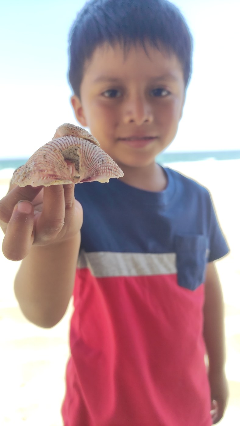 Niño mostrando una concha marina en Vichayito, Perú
